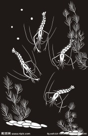 河虾 鲜虾 虾 水草