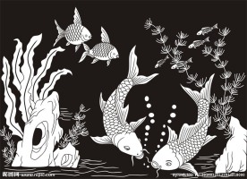 荷花鱼 水草鱼 鲤鱼