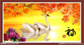 花开富贵