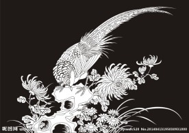 锦鸡 菊花 假山 山