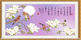 玉兰花