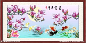 玉兰花