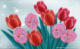 花开富贵钻石画