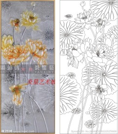 荷花 莲花 金荷