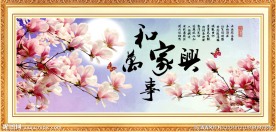 玉兰花
