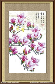 玉兰花