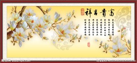 玉兰花