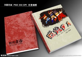 青春小说封面设计