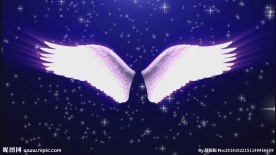 天使翅膀动态演出LED