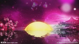 唯美海上明月花瓣飞舞