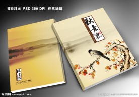 文化书籍封面设计