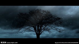 ED系列阴暗枯树素材