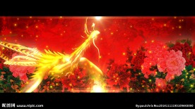 ED系列凤凰于飞素材