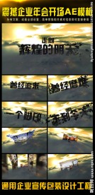 震撼企事业总结会议AE