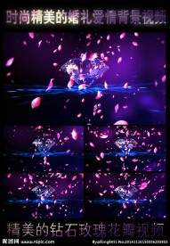 钻石旋转玫瑰花瓣飘落