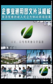 简洁优雅片头文件