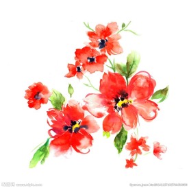 手绘水彩花卉