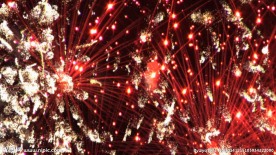 高清烟花视频素材