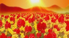 大气庆典背景红旗飘飘祖国河山黄