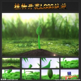 植物生长开花结果LOGO片头