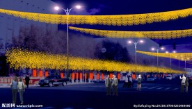 街道亮化 节日亮化