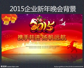 2015 年会