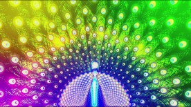 孔雀开屏LED背景羽毛五彩闪光