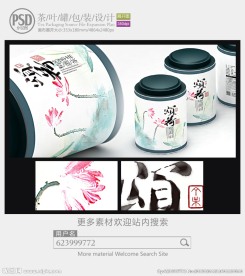 中国风茶叶罐子包装设计展开图
