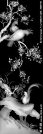 花鸟灰度图