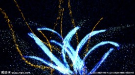 花藤光效动态视频