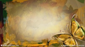 梦幻心型线条蝴蝶光晕LED背景