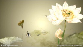 中国风水墨荷花经典素材