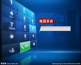 电话采访模板
