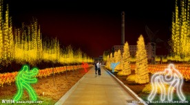 春节灯展 元宵节灯展 节日亮化