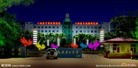 春节灯展 元宵节灯展 节日亮化