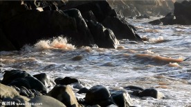 海边海浪海滩 1080P