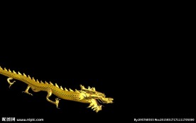 金色龙飞舞抠像通道