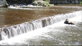 流水 小瀑布 带声音 高清