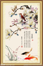 玉兰花