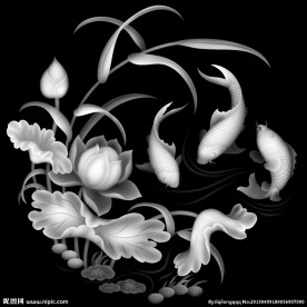 精品鲤鱼莲花灰度图