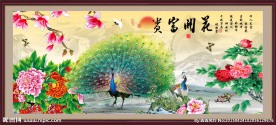 孔雀图