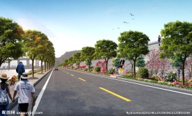 道路景观