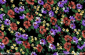 花卉花纹分层