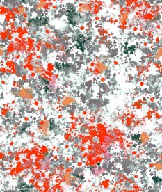 花卉花纹 花瓣 分层