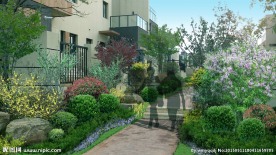 住宅景观绿化提升