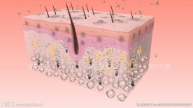 皮肤排毒黑色素