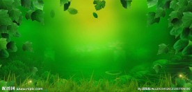 梦幻树藤绿色爱情树生长背景素材