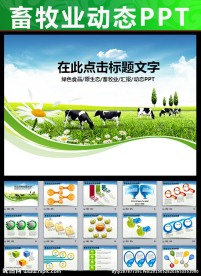 养殖畜牧业农场奶牛乳业PPT