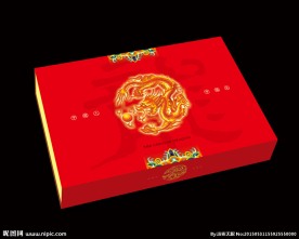 中国人中国龙 平面图