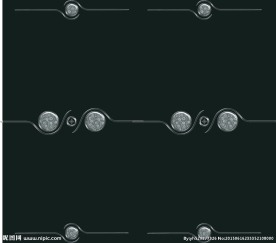 门花  暗花  高清分层